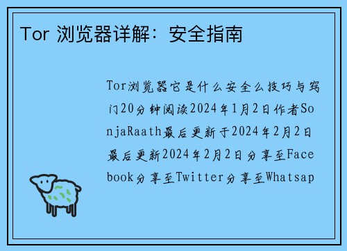 Tor 浏览器详解：安全指南 